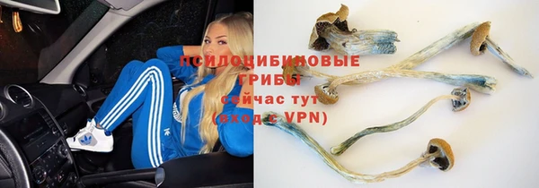 спайс Алексин
