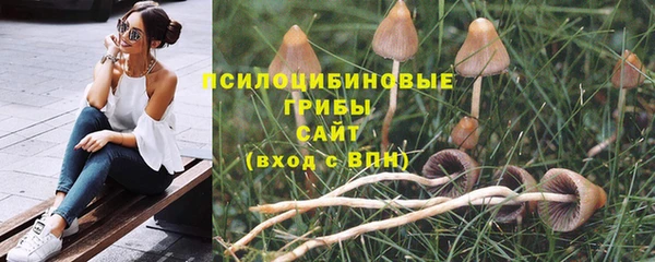 крисы Алексеевка