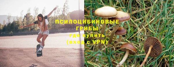 2c-b Алзамай