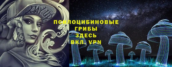 спайс Алексин