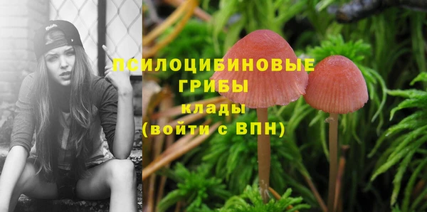 спайс Алексин