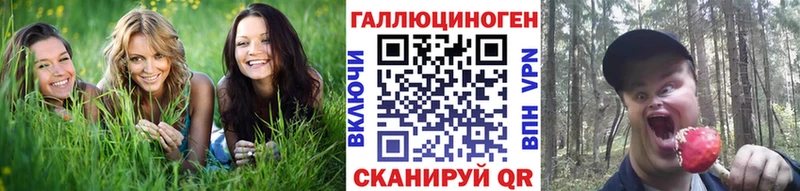 Галлюциногенные грибы Psilocybine cubensis  где можно купить   МЕГА как войти  Бирюч 